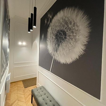 Flower Apartment Budapest Esterno foto